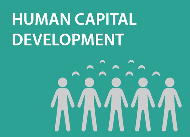 Human capital development